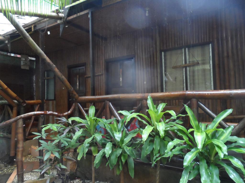 Victoria Guest House And Cottages Puerto Princesa Zewnętrze zdjęcie
