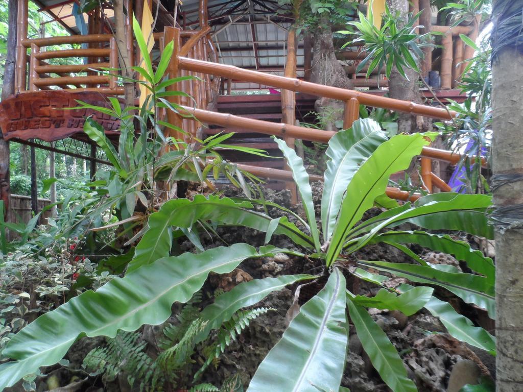 Victoria Guest House And Cottages Puerto Princesa Zewnętrze zdjęcie