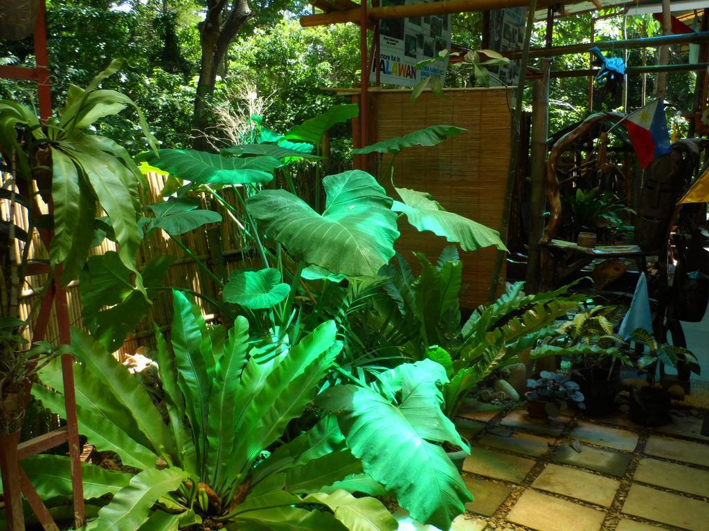 Victoria Guest House And Cottages Puerto Princesa Zewnętrze zdjęcie